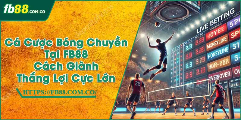 Cá Cược Bóng Chuyền Tại FB88 | Cách Giành Thắng Lợi Cực Lớn